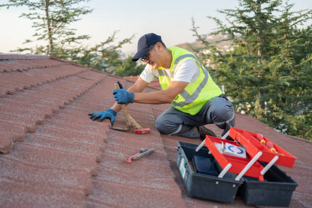 Best Roof Gutter Cleaning  in Blair, WI